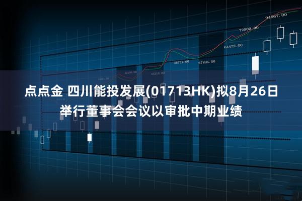点点金 四川能投发展(01713HK)拟8月26日举行董事会会议以审批中期业绩