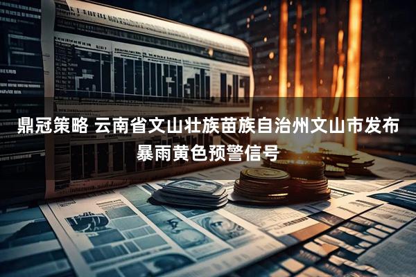 鼎冠策略 云南省文山壮族苗族自治州文山市发布暴雨黄色预警信号