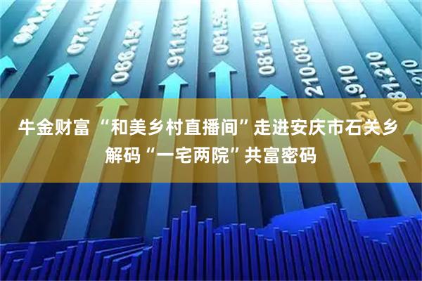牛金财富 “和美乡村直播间”走进安庆市石关乡 解码“一宅两院”共富密码